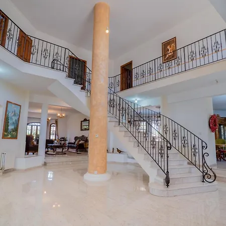 فيلة Aέναη *